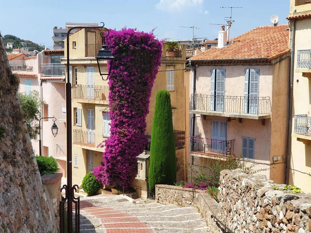 Suquet 22 - 2 Pieces, Cannes Coeur Historique, Calme, Plage A 300M, Parking France